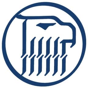 Eagle Rock Analytics Logo