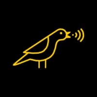 Project Canary Logo
